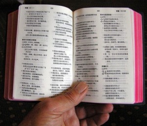 Chinese bible 2 400px